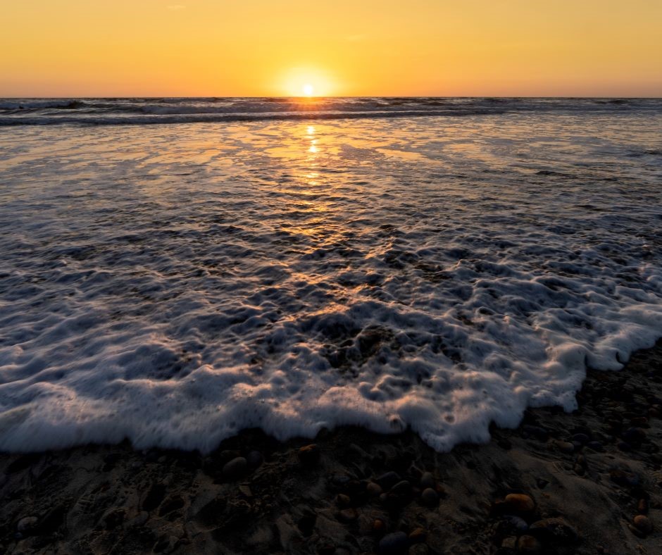 Cardiff State Beach